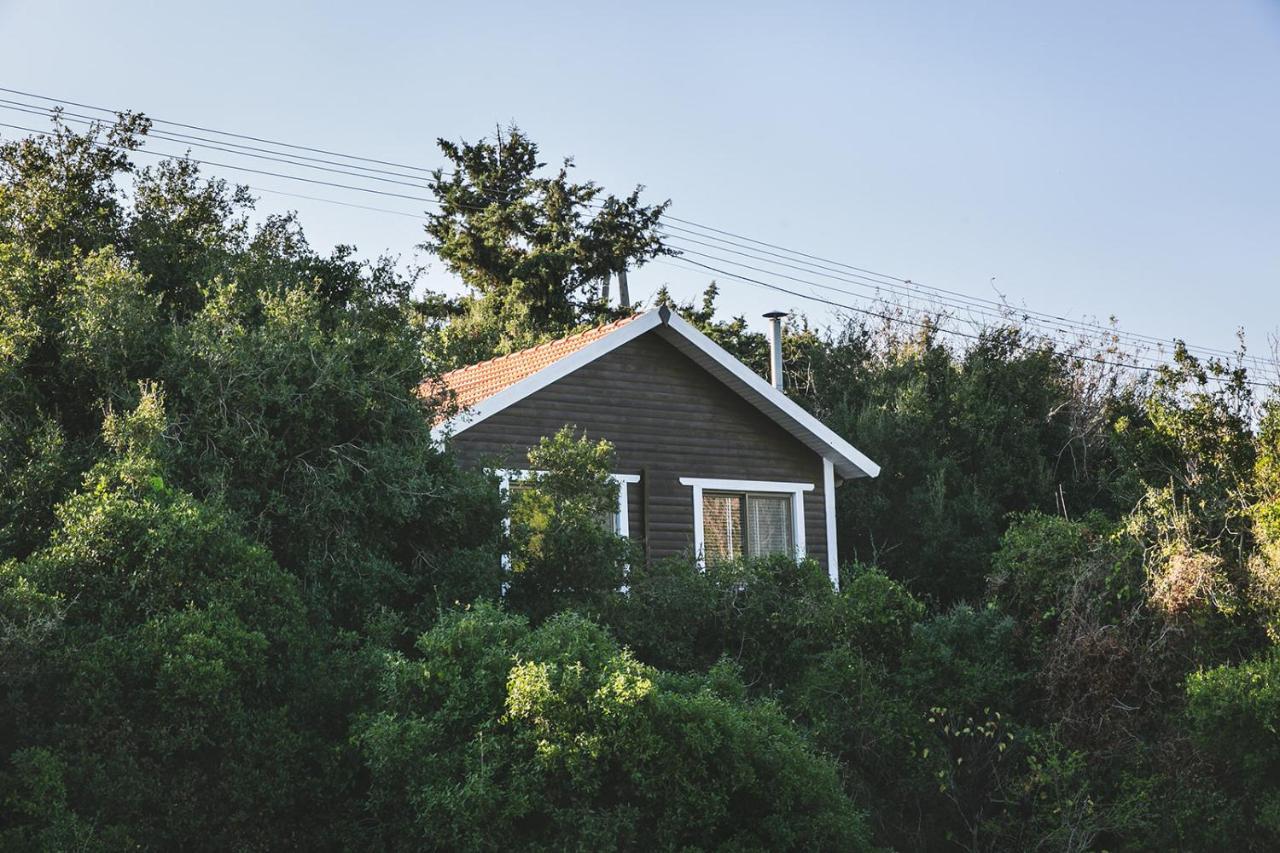 Lodge Live In The Woods Mikhmannim