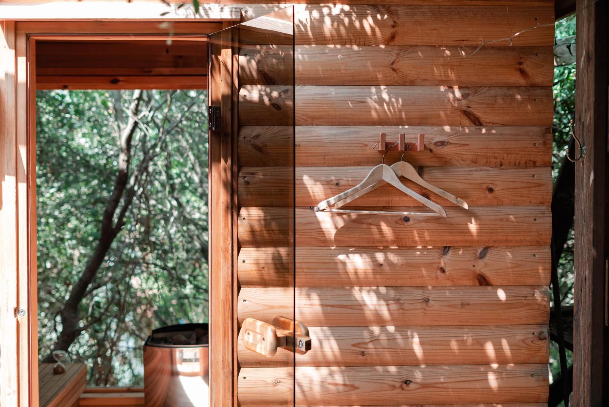 Live In The Woods Lodge *