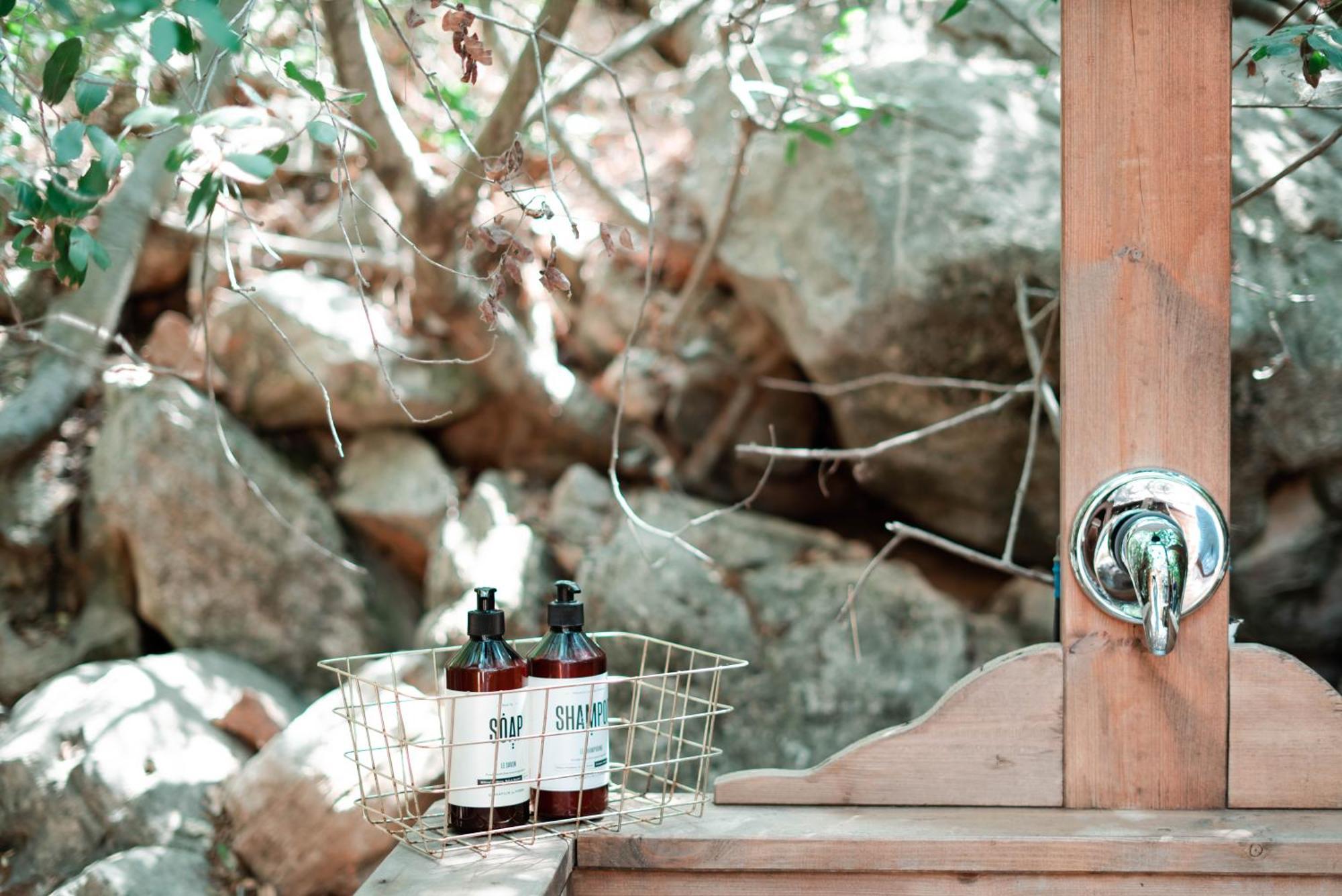 Live In The Woods Mikhmannim
