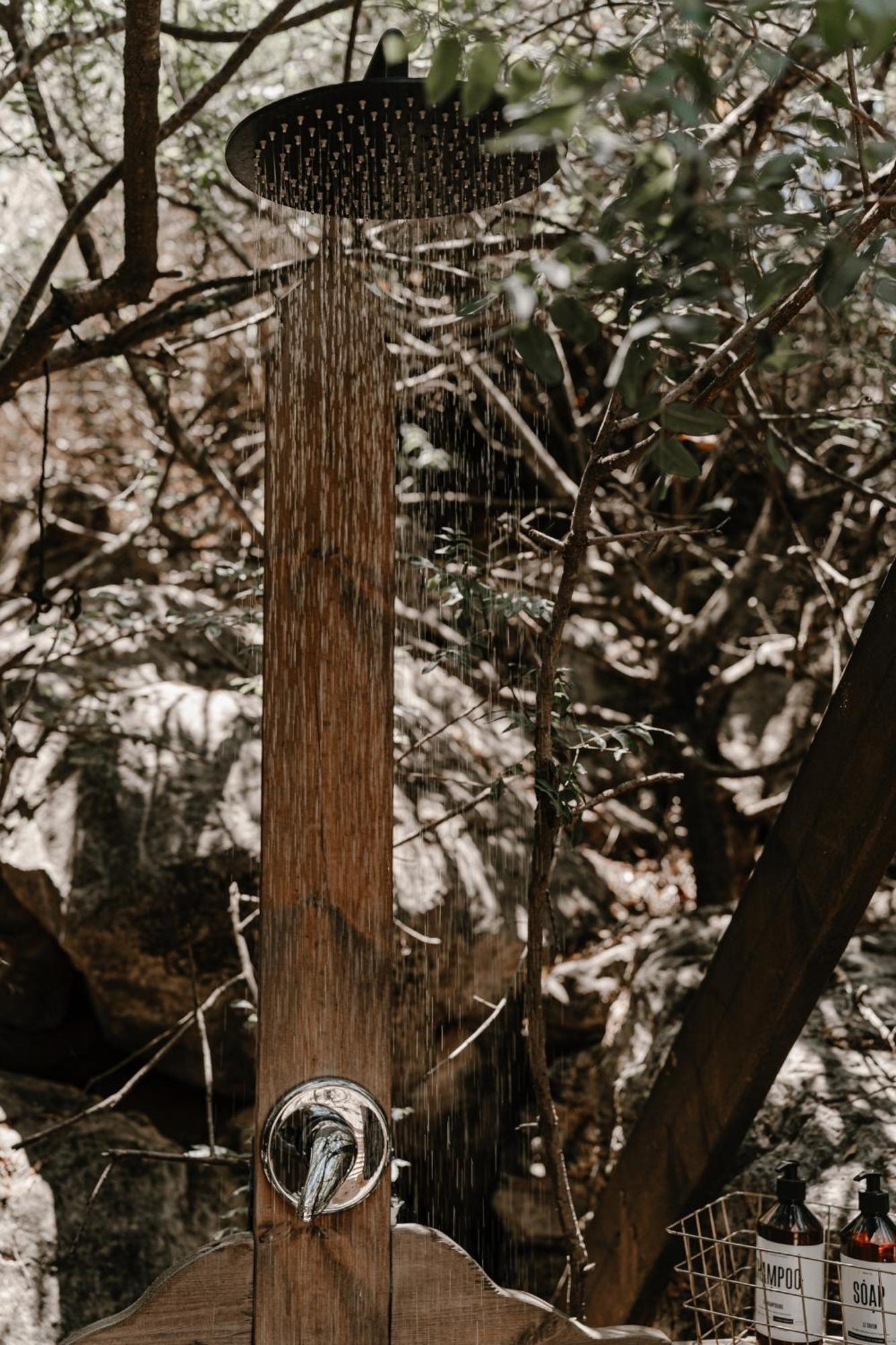 Live In The Woods
